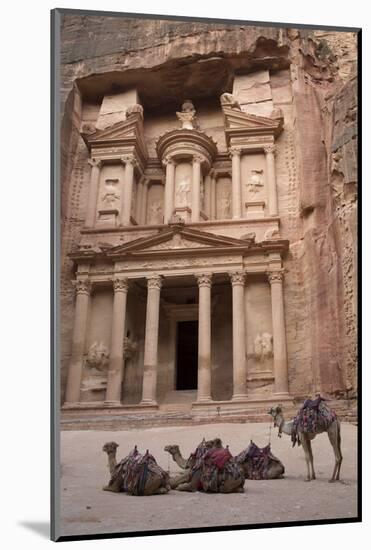 Camels in Front of the Treasury, Petra, Jordan, Middle East-Richard Maschmeyer-Mounted Photographic Print