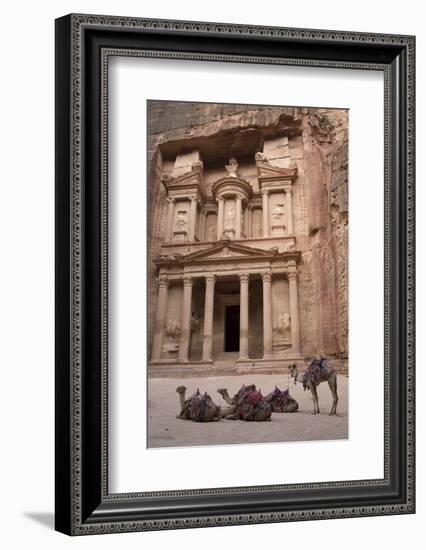 Camels in Front of the Treasury, Petra, Jordan, Middle East-Richard Maschmeyer-Framed Photographic Print