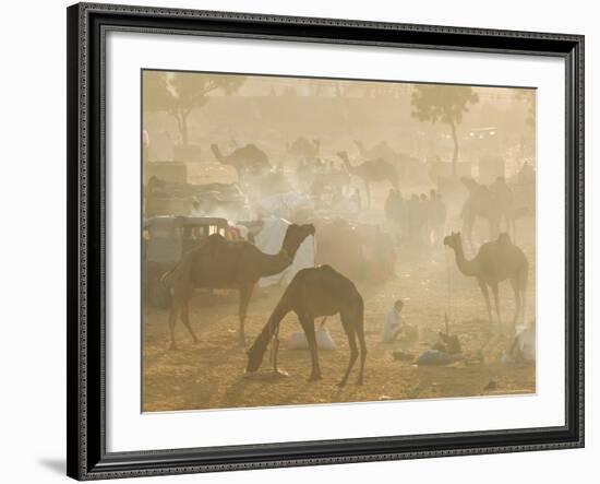 Camels in the Desert Morning Sun, Pushkar Camel Fair, India-Walter Bibikow-Framed Photographic Print