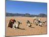 Camels in the Desert, Wadi Rum, Jordan, Middle East-Alison Wright-Mounted Photographic Print