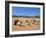 Camels in the Desert, Wadi Rum, Jordan, Middle East-Alison Wright-Framed Photographic Print