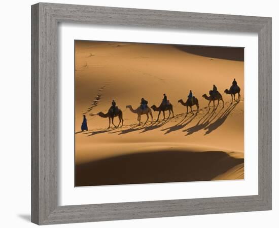 Camels in the Dunes, Merzouga, Morocco, North Africa, Africa-Michael Runkel-Framed Photographic Print