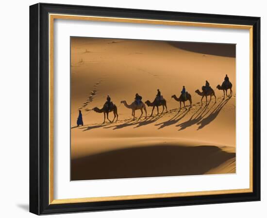 Camels in the Dunes, Merzouga, Morocco, North Africa, Africa-Michael Runkel-Framed Photographic Print