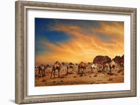 Camels In Wadi Rum-hitdelight-Framed Art Print