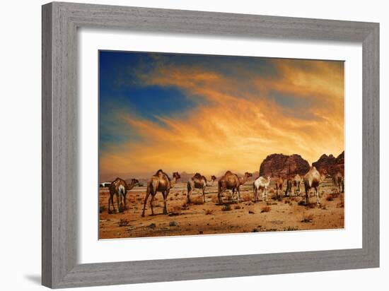 Camels In Wadi Rum-hitdelight-Framed Art Print