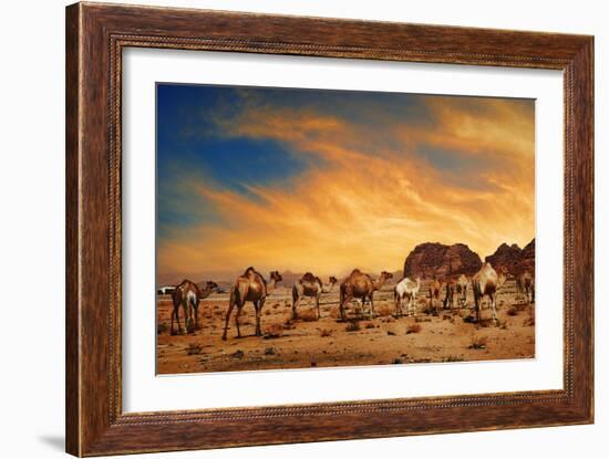 Camels In Wadi Rum-hitdelight-Framed Art Print