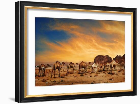 Camels In Wadi Rum-hitdelight-Framed Art Print