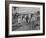 Camels Inspected by Sheik Shakhbut, Ruler of Oil-Rich Kingdom, with Other Arabs-Ralph Crane-Framed Photographic Print