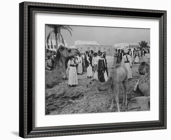 Camels Inspected by Sheik Shakhbut, Ruler of Oil-Rich Kingdom, with Other Arabs-Ralph Crane-Framed Photographic Print