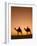 Camels Near the Pyramids at Giza, Cairo, Egypt-Doug Pearson-Framed Photographic Print