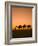 Camels Near the Pyramids at Giza, Cairo, Egypt-Doug Pearson-Framed Photographic Print