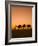 Camels Near the Pyramids at Giza, Cairo, Egypt-Doug Pearson-Framed Photographic Print