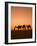 Camels Near the Pyramids at Giza, Cairo, Egypt-Doug Pearson-Framed Photographic Print