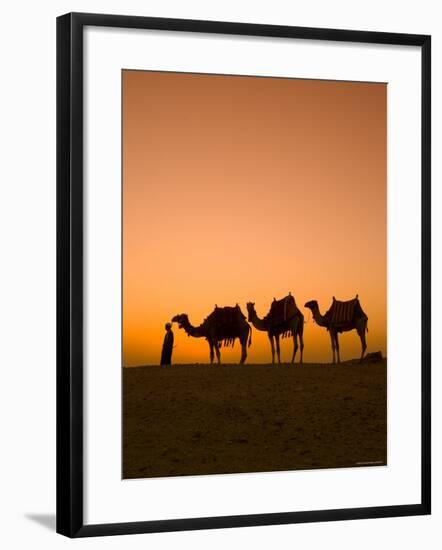 Camels Near the Pyramids at Giza, Cairo, Egypt-Doug Pearson-Framed Photographic Print