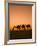 Camels Near the Pyramids at Giza, Cairo, Egypt-Doug Pearson-Framed Photographic Print