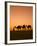 Camels Near the Pyramids at Giza, Cairo, Egypt-Doug Pearson-Framed Photographic Print