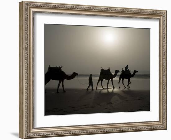 Camels on the Beach, Essaouira, Morocco, North Africa, Africa-Ethel Davies-Framed Photographic Print