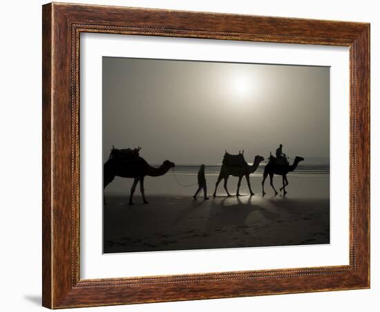 Camels on the Beach, Essaouira, Morocco, North Africa, Africa-Ethel Davies-Framed Photographic Print