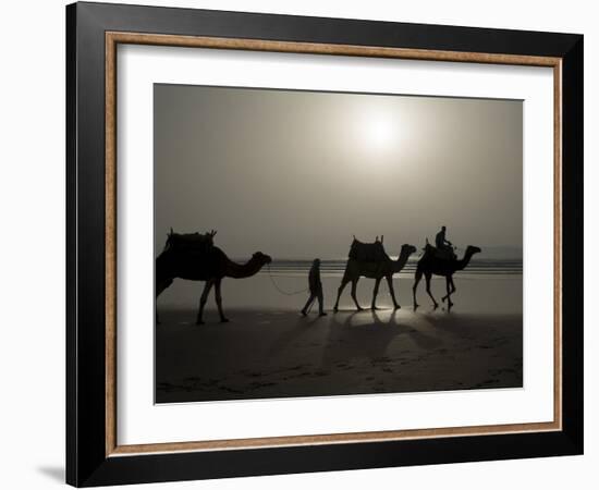 Camels on the Beach, Essaouira, Morocco, North Africa, Africa-Ethel Davies-Framed Photographic Print