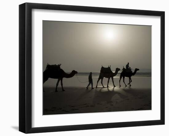 Camels on the Beach, Essaouira, Morocco, North Africa, Africa-Ethel Davies-Framed Photographic Print