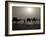 Camels on the Beach, Essaouira, Morocco, North Africa, Africa-Ethel Davies-Framed Photographic Print