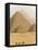 Camels Pass in Front of the Pyramids at Giza, Egypt-Julian Love-Framed Premier Image Canvas