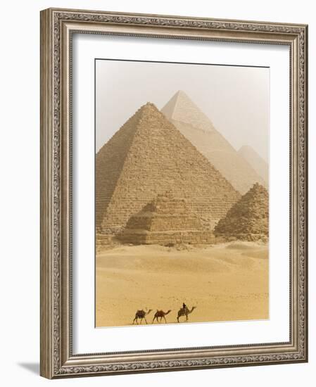Camels Pass in Front of the Pyramids at Giza, Egypt-Julian Love-Framed Photographic Print