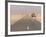 Camels Standing on the Road Between Nouadhibou and Nouakchott, Mauritania, Africa-Michael Runkel-Framed Photographic Print