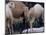Camels-Henry Horenstein-Mounted Photographic Print