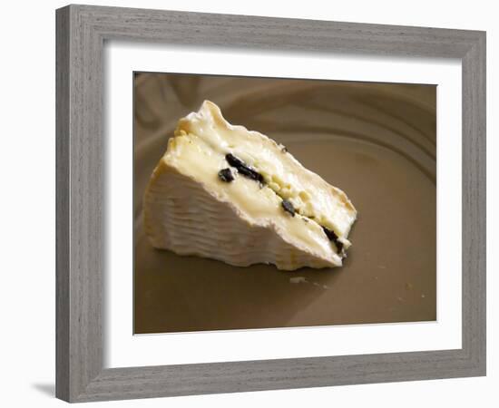 Camembert Cheese Stuffed with Truffles at La Truffe De Ventoux Truffle Farm, Vaucluse, Rhone-Per Karlsson-Framed Photographic Print