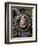 Cameo of Diana the Huntress-Alessandro Masnago-Framed Giclee Print