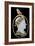 Cameo of Napoleon 1St-Nicola Morelli-Framed Giclee Print