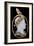 Cameo of Napoleon 1St-Nicola Morelli-Framed Giclee Print