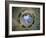 Camera Degli Sposi: Ceiling Oculus-Andrea Mantegna-Framed Giclee Print