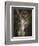 Camera Shy Squirrel-Jai Johnson-Framed Giclee Print