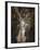 Camera Shy Squirrel-Jai Johnson-Framed Giclee Print