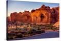 Stretched Canvas Print