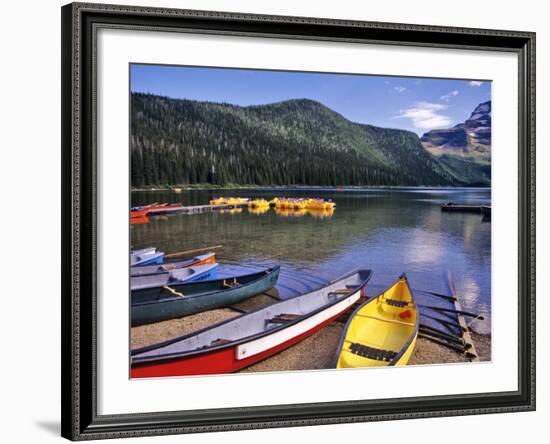 Cameron Creek, Wateron Lakes National Park, Alberta, Canada-Chuck Haney-Framed Photographic Print
