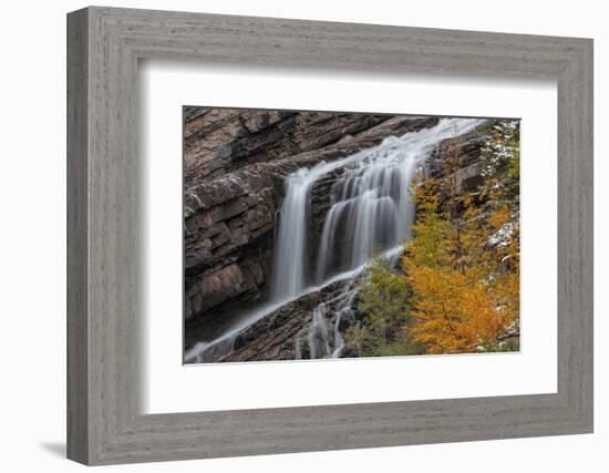 Cameron Falls in autumn in Waterton Lakes National Park, Alberta, Canada-Chuck Haney-Framed Photographic Print