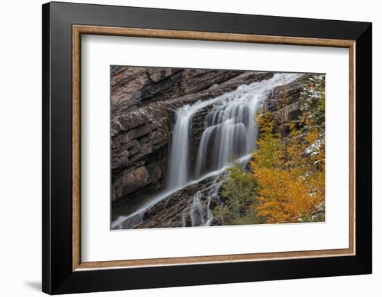 Cameron Falls in autumn in Waterton Lakes National Park, Alberta, Canada-Chuck Haney-Framed Photographic Print