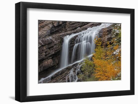 Cameron Falls in autumn in Waterton Lakes National Park, Alberta, Canada-Chuck Haney-Framed Photographic Print