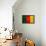 Cameroon Flag Design with Wood Patterning - Flags of the World Series-Philippe Hugonnard-Framed Stretched Canvas displayed on a wall