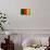 Cameroon Flag Design with Wood Patterning - Flags of the World Series-Philippe Hugonnard-Framed Stretched Canvas displayed on a wall