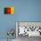Cameroon Flag Design with Wood Patterning - Flags of the World Series-Philippe Hugonnard-Framed Stretched Canvas displayed on a wall