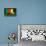 Cameroon Soccer-badboo-Art Print displayed on a wall