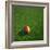 Cameroonian Soccerball Lying on Grass-zentilia-Framed Art Print