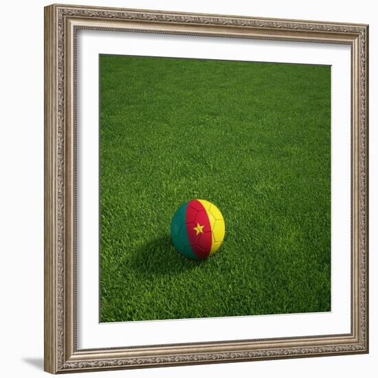 Cameroonian Soccerball Lying on Grass-zentilia-Framed Art Print