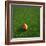 Cameroonian Soccerball Lying on Grass-zentilia-Framed Art Print