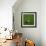 Cameroonian Soccerball Lying on Grass-zentilia-Framed Art Print displayed on a wall