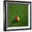 Cameroonian Soccerball Lying on Grass-zentilia-Framed Art Print